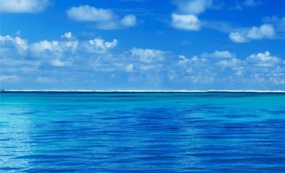 最新版粉象生活app下载安装