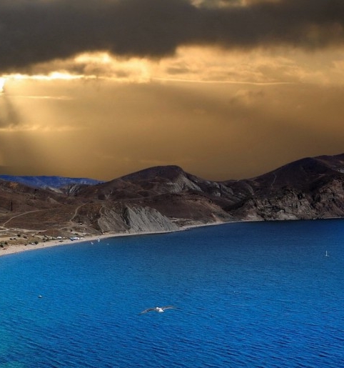 粉象生活激活账号