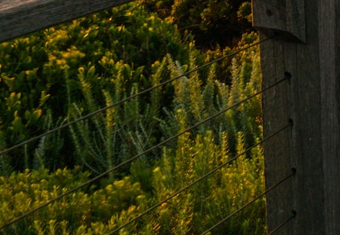 粉象生活下载app