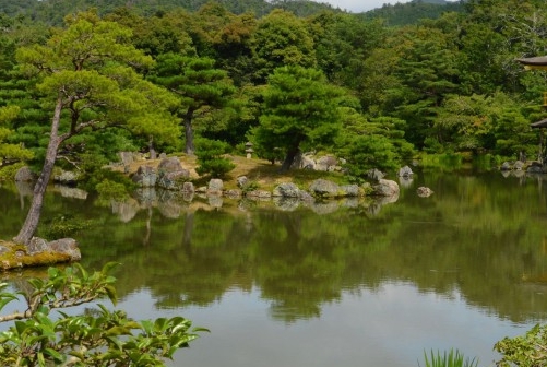 粉象生活邀请码是什么意思