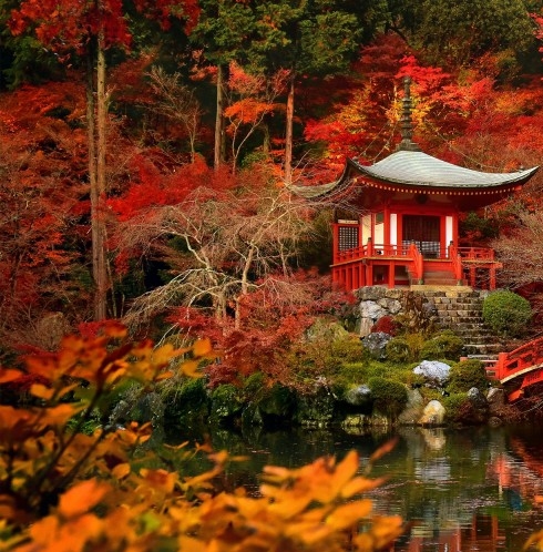 粉象生活一天几百是真是假