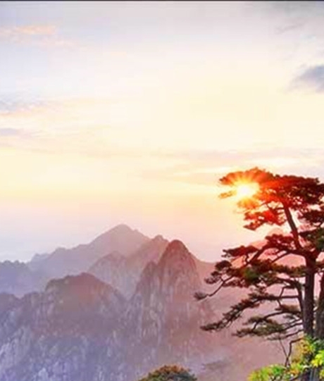 粉象生活无邀请码注册