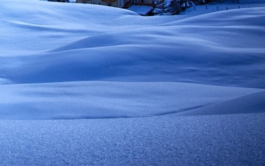 李红星 粉象生活