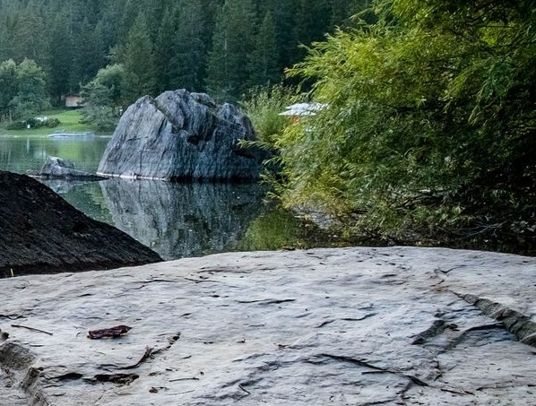 山东口碑粉象生活软件