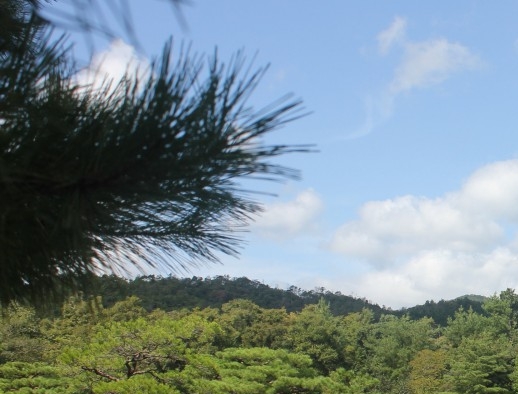 粉象生活礼包价格