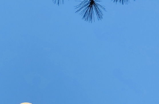 500元的粉象生活购物卡怎么用