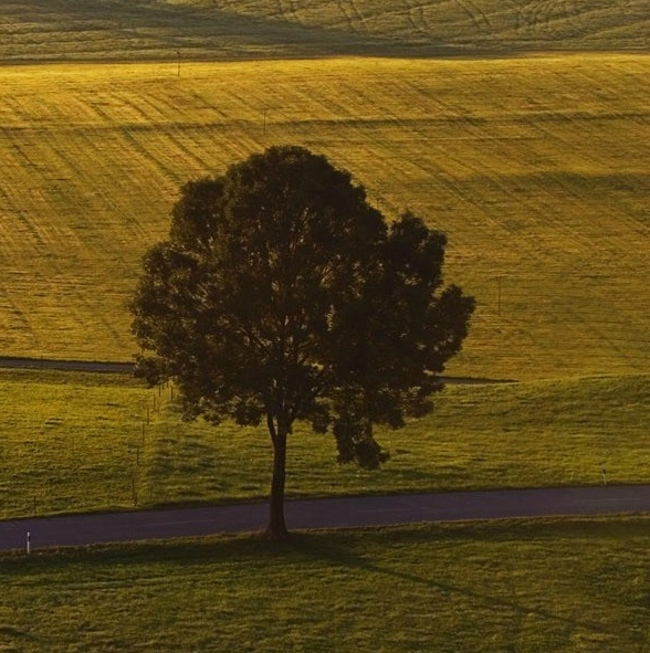 粉象生活app是干嘛的