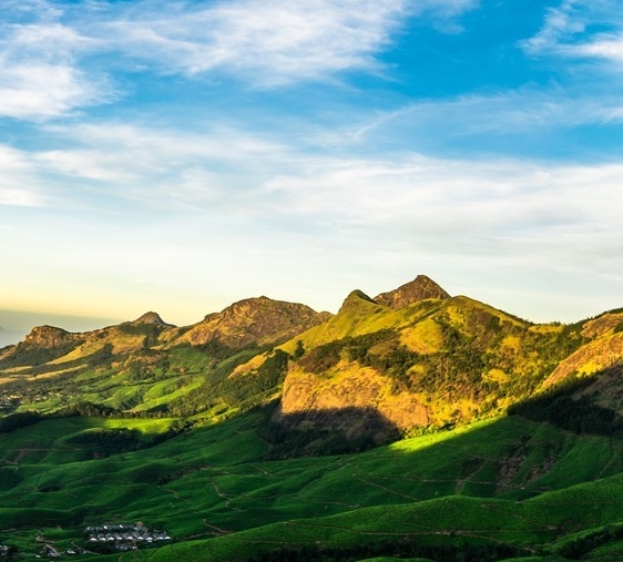 粉象生活客服工作