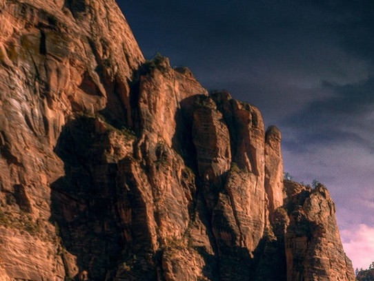 杭州粉象生活模式