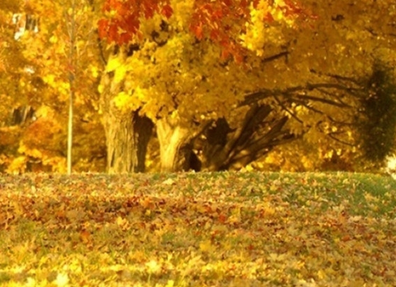 做销售怎么开发客户