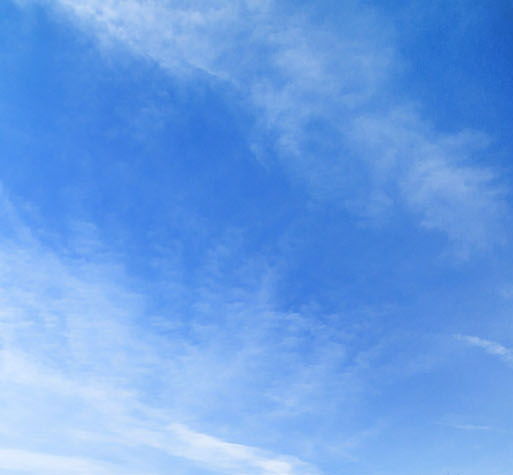 注册粉象生活有风险吗