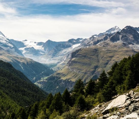 全民生活分怎么开通