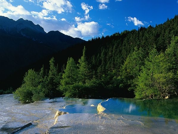 上海粉象生活佣金