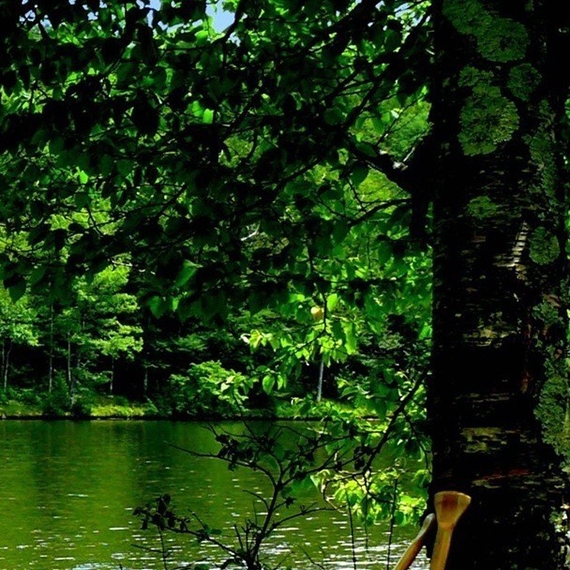 深圳中学生活老师招聘