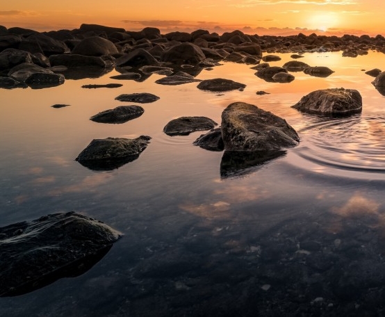 粉象生活代理商收入