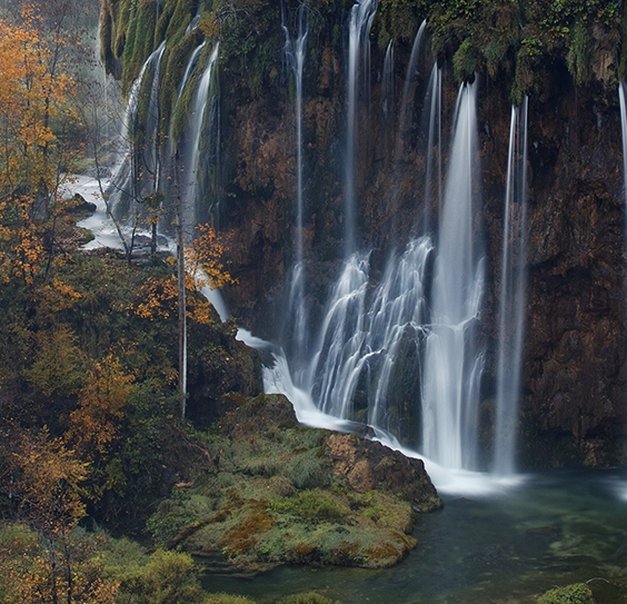 粉象生活粉丝怎么增加