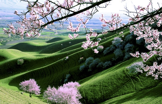 粉象生活粉象生活怎么加入