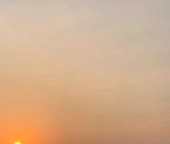 粉象生活283017