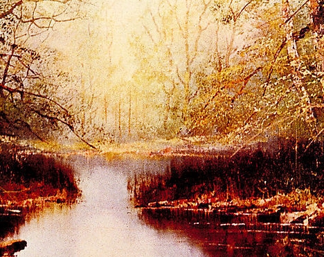 粉象生活vip好吗