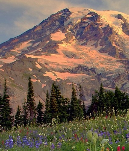 粉象生活怎么绑定头条