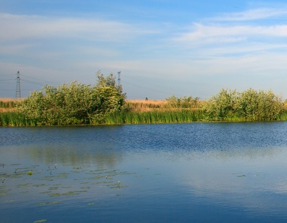 粉象生活怎么赚钱