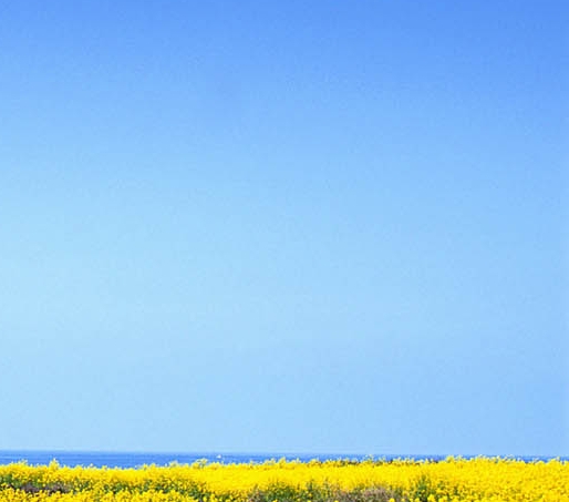 粉象生活一定需要邀请码吗