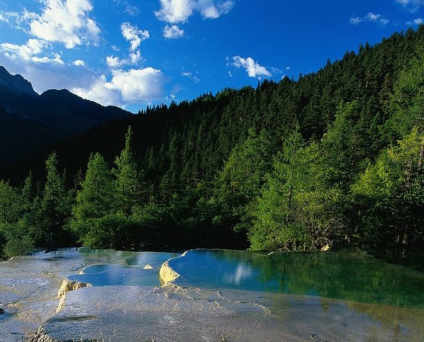 花粉俱乐部粉象生活