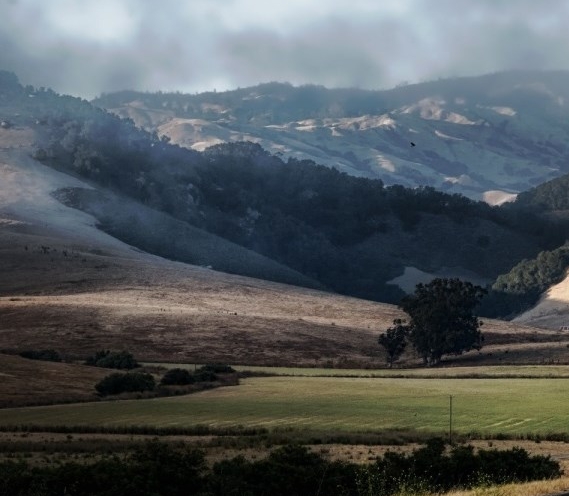 粉象生活一天赚几百是真的吗