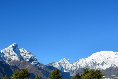 粉象生活下载app