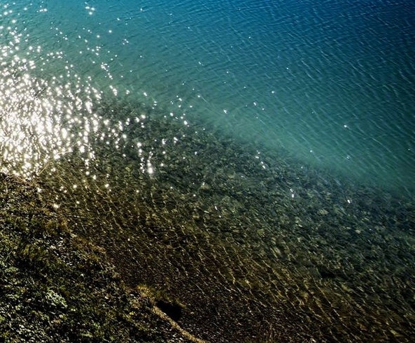 怎样注销粉象生活app软件