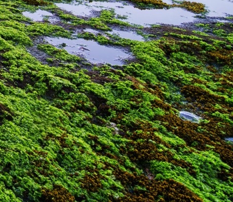 粉象生活在快手上可以引流吗