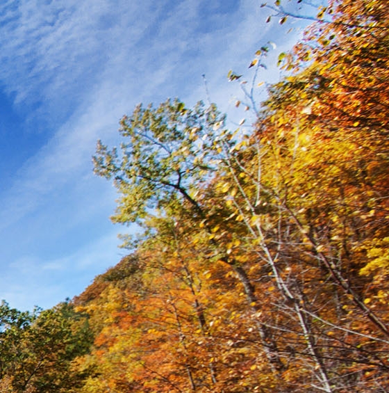 承德粉象生活注册