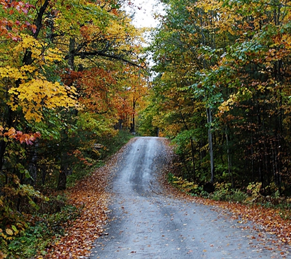 菏泽粉象生活推广注册申请