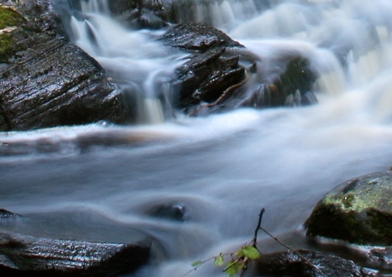 粉象生活圆形头像