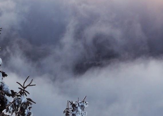 粉象生活注册了可以分享吗