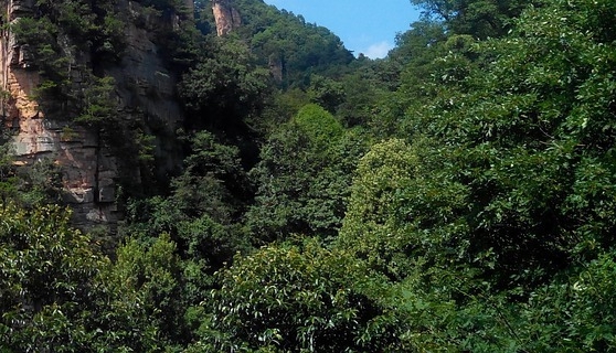 南平粉象生活团队