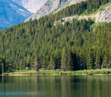 粉象生活需要上传头像吗