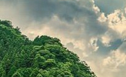 粉象生活红包怎么做