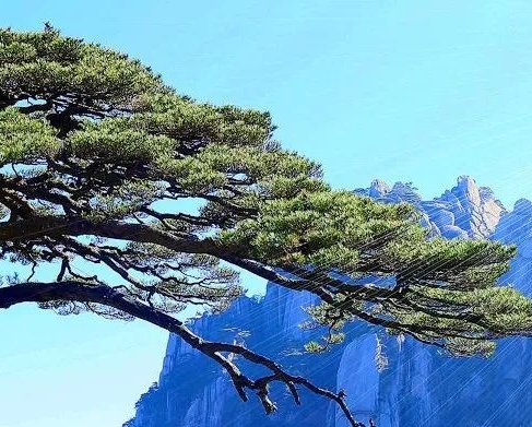 粉象生活怎么赚钱