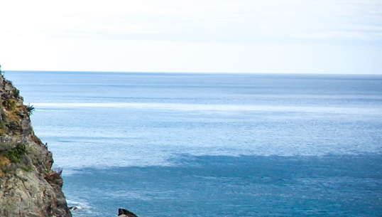 昆明粉象生活软件