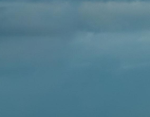 粉象生活邀请码