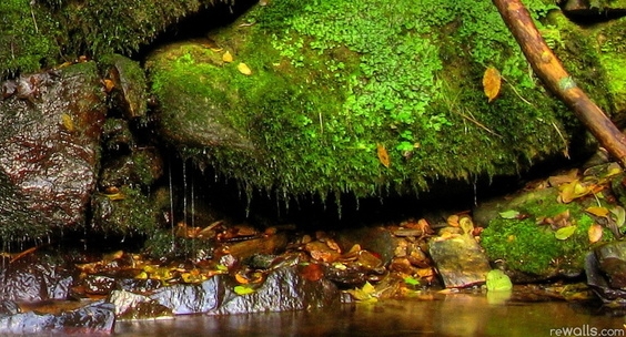 电商粉象生活是什么