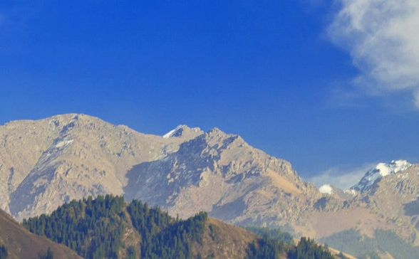 粉象生活怎么邀请好友助力