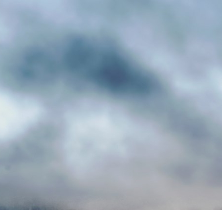 什么是粉象生活会员