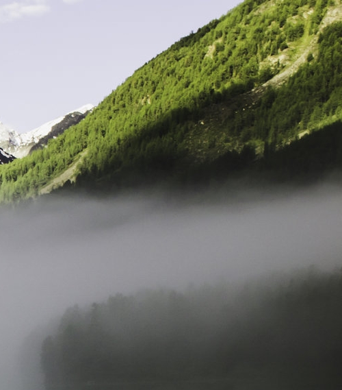 上注册粉象生活