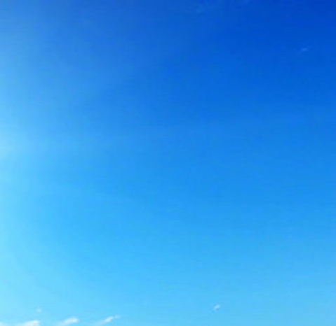 粉象生活怎么下载到手机
