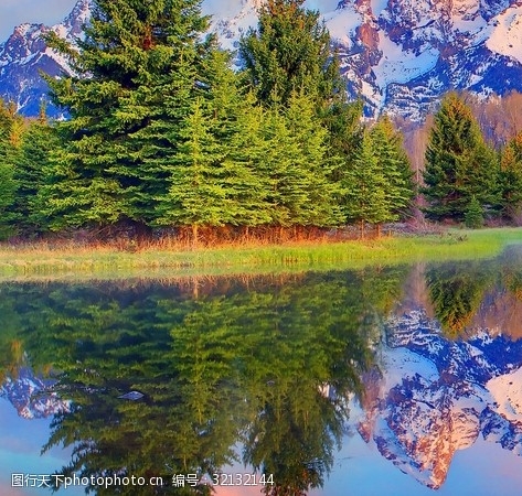 菏泽粉象生活推广怎么注册