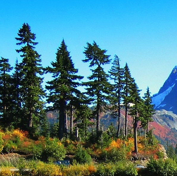粉象生活如何注册