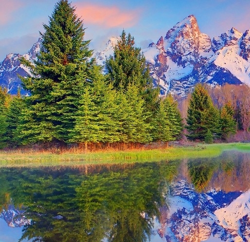 粉象生活粉丝怎么增加