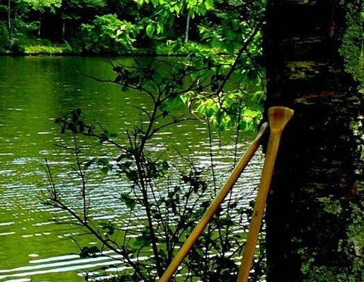 粉象生活新注册要邀请码吗